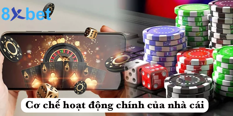 Cơ chế hoạt động chính của nhà cái