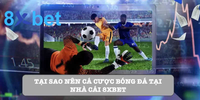 Tại sao nên cá cược bóng đá tại nhà cái 8xbet