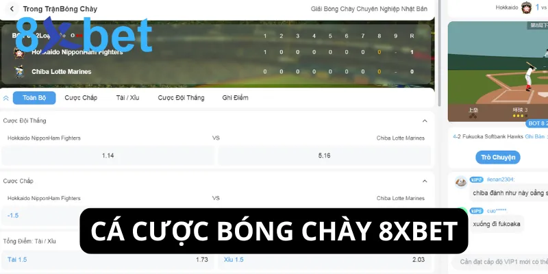 Cá cược bóng chày sở hữu lượng người chơi ổn định